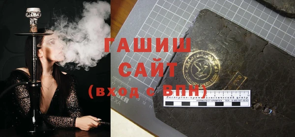 хмурый Арсеньев
